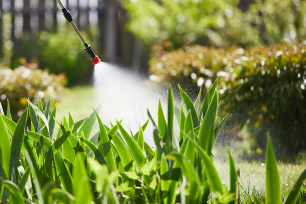 24/7 Emergency Mosquito Control experts in Broxton, GA